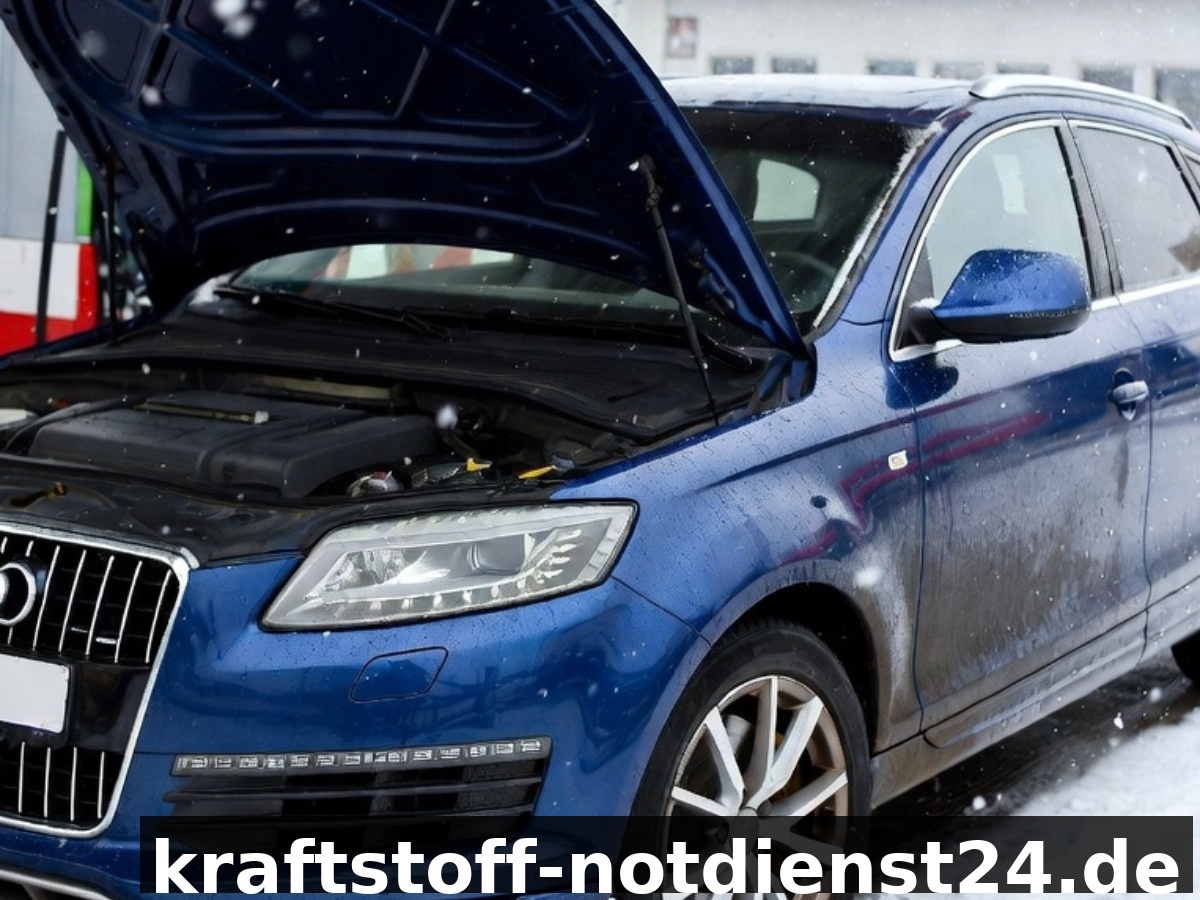 ⛽ Falsch getankt in Freystadt? Mobiler 24/7 Notdienst unter 📞 08007236923